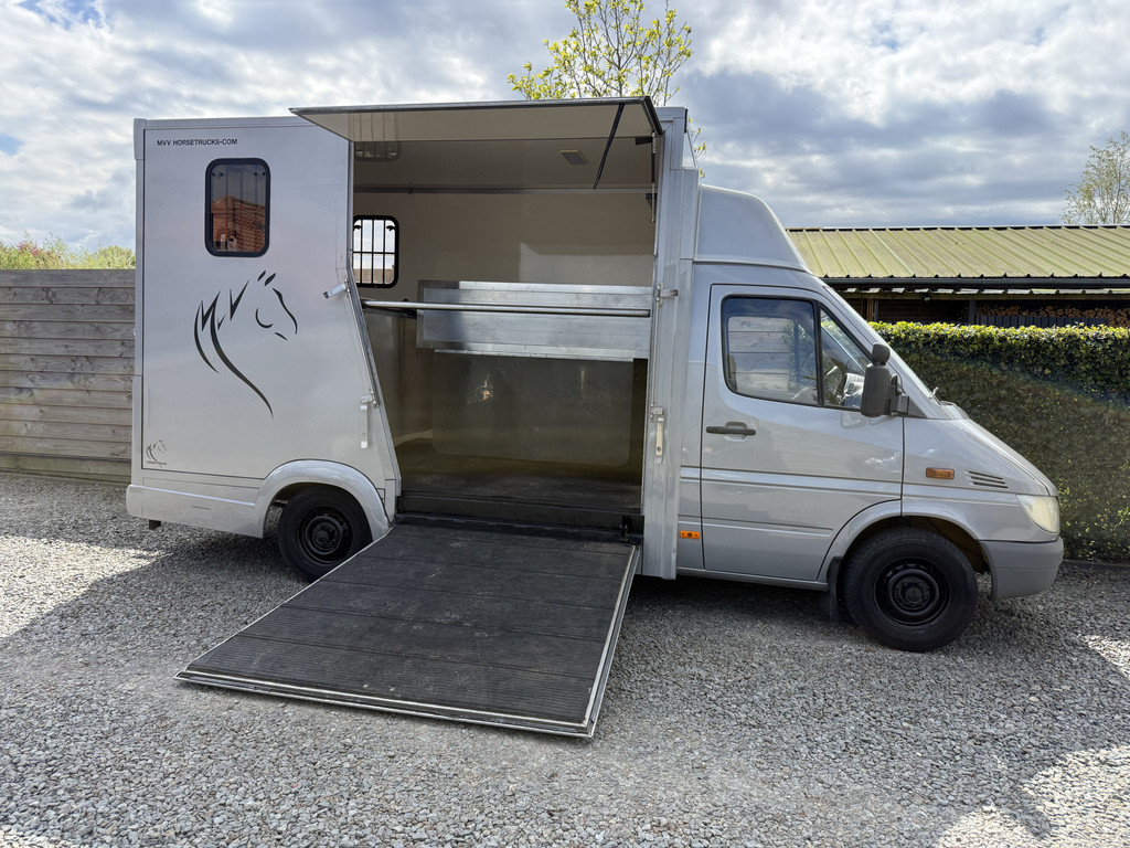 Mercedes-Benz Sprinter | HORSETRUCK | TVW | CLASSIC 3XL