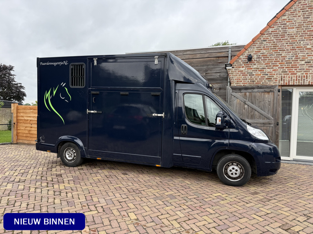 Peugeot Boxer | HORSETRUCK | TVW | CLASSIC 3XL