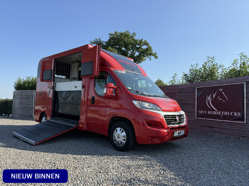 Fiat Ducato | HORSETRUCK | LR | STALLION 3XL