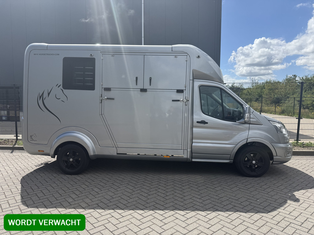 Ford Transit | HORSETRUCK | STX | STALLION 3XL