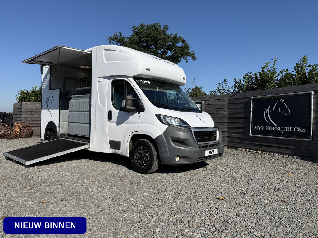Peugeot Boxer | HORSETRUCK | MSG | COMPETITION 3XL