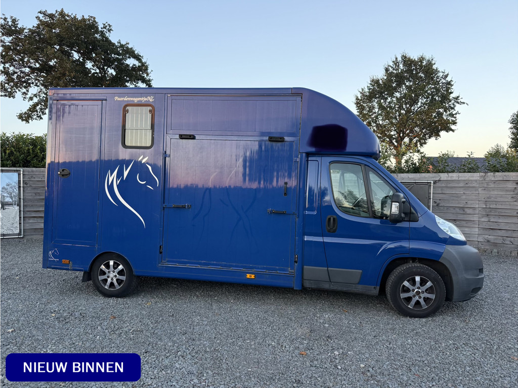 Fiat Ducato | HORSETRUCK | MVV | ALU | COMPETITION 3XL